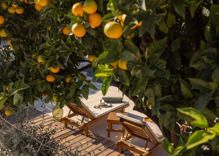 Molonta Heritage Estate * Molunat