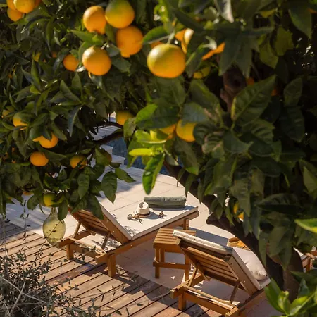 Molonta Heritage Estate * Molunat